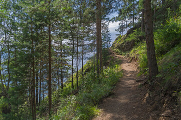 Trail on a forest slope on the shore of Lake Baikal.