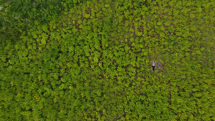 Portrait of an attractive stylish girl lying on the grass with a bike and looking up. A fashionable woman, dressed in a sports uniform, lies on a bicycle on the grass. Aerial photography. View from ab
