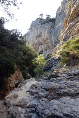 Schlucht in den Dentelles de Montmirail