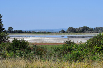 Austria, National Park Neusiedlersee