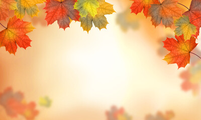 Autumn maple leaves. Autumn background.