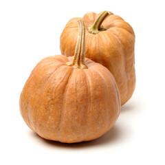 Orange pumpkin on white background 