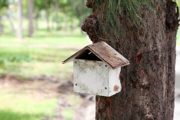 Close up wooden squirrel or bird house hanging on the tree