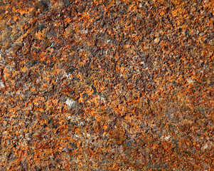 Close up rust and oxidized metal