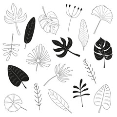 Set of black and white contour leaves of tropical palm trees. Vector hand drawn illustration. Creative flat for clothes, fabric, wrapping, textile, wallpaper, apparel, design, interior.
