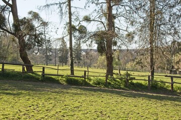 landscape with a house in the background
