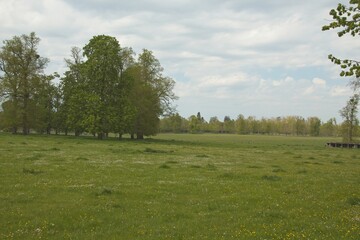 landscape with a house in the background