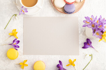 Beige paper sheet mockup with spring snowdrop crocus flowers and multicolored macaroons on gray concrete background. top view, copy space.