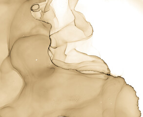 Alcohol Ink Texture. Oil Effect Ancient Print.