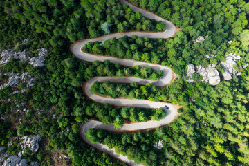 View from above, stunning aerial view of a serpentine road surrounded by green pine trees. Mount Limbara (Monte Limbara) Sardinia, Italy