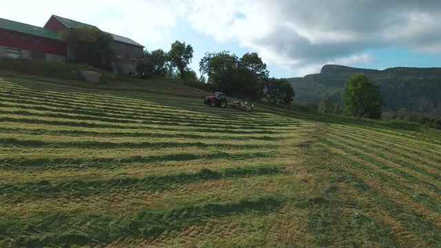 Agricultural Tractor With Hay Turner Attached Turning Grass For Silage Production In Norway. wide panning
