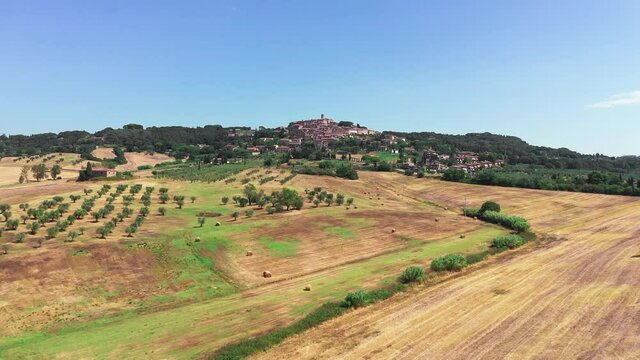 Tuscan countryside shot with drone at summer time. Aerial view of amazing wine fields country in sunny weather, arid fields,green trees,olive trees 