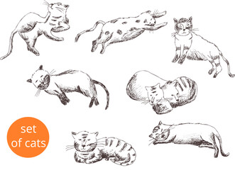 Freehand drawing vector abstract sketches. Set of funny cat in different angles and poses. Outline graphic art on a transparent background. Template vintage pattern eps  image for card, textile print 
