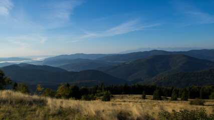 Fototapeta premium Natura