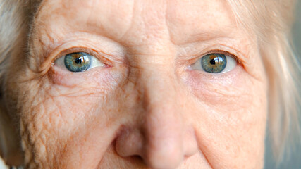 Sad blue gray eyes of an elderly woman looking at camera, extreme close up shot. vision and concept of older people banner - obrazy, fototapety, plakaty