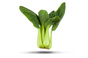 Pak choi vegetable isloated on a white background