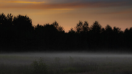 Fototapeta premium Natura