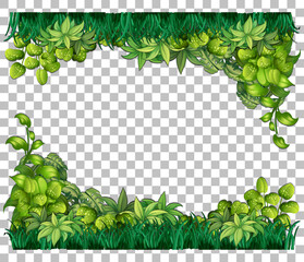 Nature plants frame transparent background