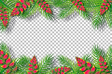 Tropical leaves frame template on transparent background