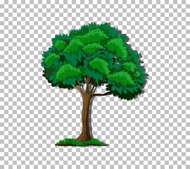 Obraz premium Tree on transparent background