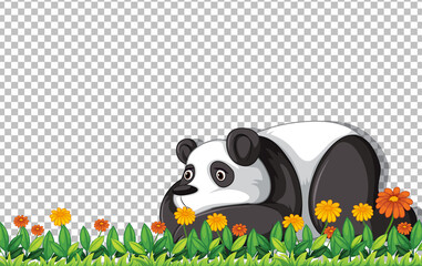 Panda bear laying on green grass on transparent background