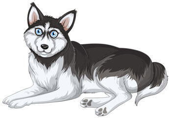 Siberian husky dog cartoon on white background © GraphicsRF