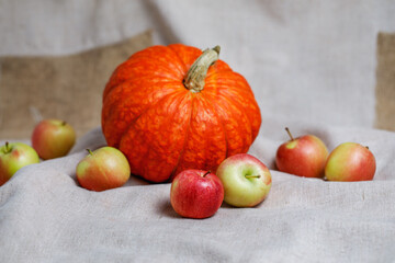 A beautiful orange pumpkin and delicious apples lie on the burlap. Autumn products for a healthy diet.
