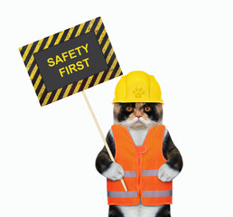 A colored cat in a construction helmet holds a poster that says safety first. White background. Isolated.