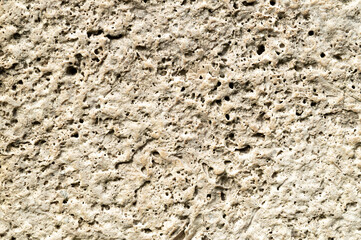 texture of porous stone. texture of shell rock