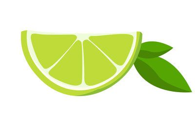 Slice of lime with mint leaves. Citrus fruit in cartoon style.