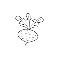 Beet with leaves. Linear outline. Vector icon and clipart. Black and white isolated illustration.
