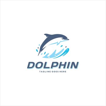 Dolphin Fish Logo Design Vector Image