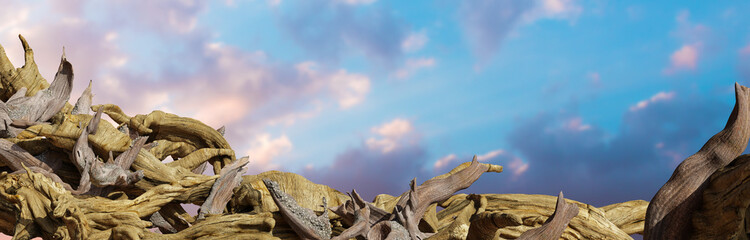 driftwood, pile of aged branches on the beach 