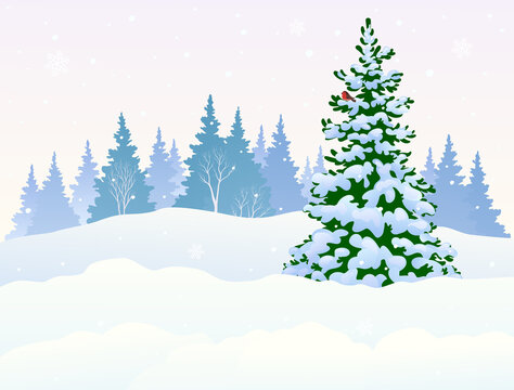 Snowy forest landscape with Christmas tree, winter background