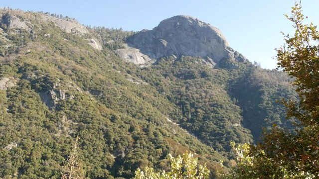 Panoramic view from Moro Rock in Sequoia forest national park, Northern California, USA. Overlooking old-growth woodland, coniferous trees on mountains of Sierra Nevada. Viewpoint near Kings Canyon.