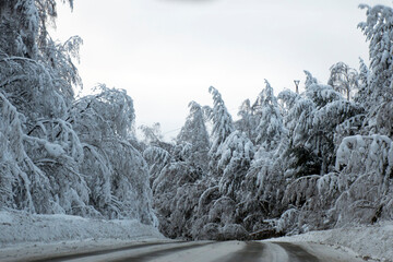 Slippery road on the background of a winter snow-covered forest. The concept of ice, the danger of drift, snowfall, the beginning of winter, weather forecast, the beauty of the winter forest.