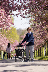 Seniorin, 86 Jahre alt, geht mit Rollator im Park spazieren, im Frühling zur Zeit der Kirschblüte
