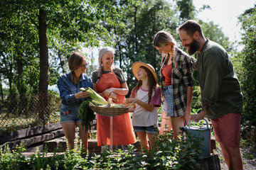Happy young and old farmers or gardeners looking at their harvest outdoors at community farm.