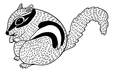 Cute chipmunk - line illustration. Black and white rodent sketch. Freehand drawing of forest animal. Gnawer doodle art. Vector artwork