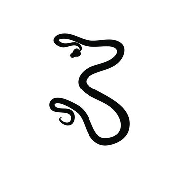 Snake icon vector. cobra illustration sign. anaconda symbol or logo.