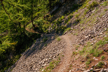 Naklejka premium Chemin de randonnée