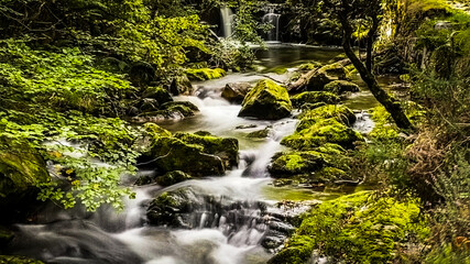 Beautiful waterfall in the forest with a long exposure effect, Ruta del Alba, Asturias