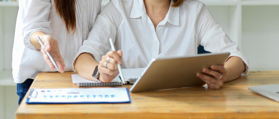 Female entrepreneur discussing business plan and marketing campaign with her business partner