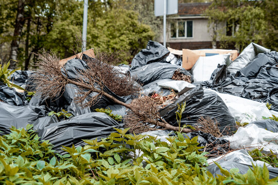 Large pile of rubbish among the green grass - dry branches, black garbage bags, cardboard. Big cleaning (1050)