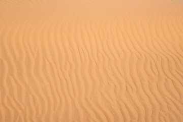 Ripple sand dunes texture background. Desert, sandy waves.