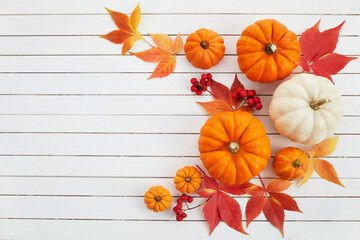 Autumn framework from pumpkins, berries and leaves on a travertine background. Concept of Thanksgiving day or Halloween.