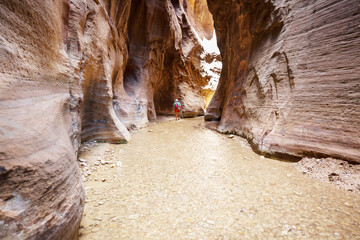 Narrows in Zion