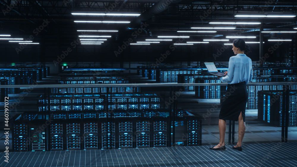 Poster Data Center Engineer Using Laptop Computer. Server Farm Cloud Computing Specialist Facility with Multiethnic Female System Administrator Working with Data Protection Network for Cyber Security.