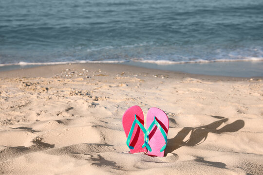 Stylish flip flops in sand on beach. Space for text