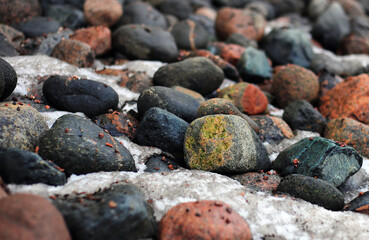 Black and white big pebble rocks and some snow. Photographed in Finland during early spring. Cloudy daytime.